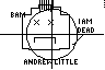 andrew
